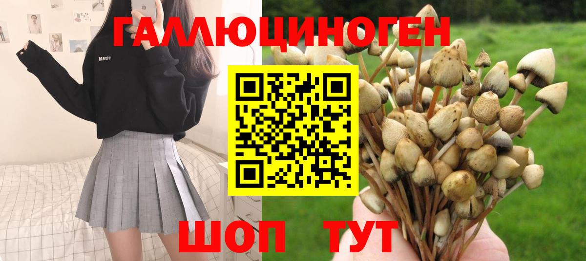 Галлюциногенные грибы GOLDEN TEACHER  хочу наркоту  Оренбург  Вход с VPN 